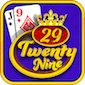 29 card game icon
