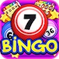 Bingo icon